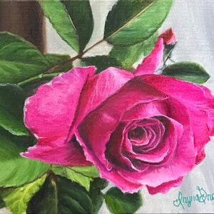 Beautiful Magenta