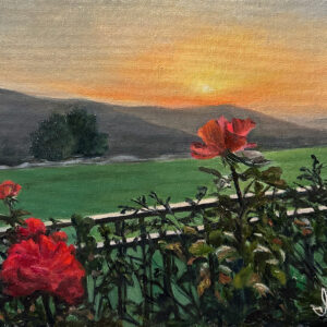 Rose hedge